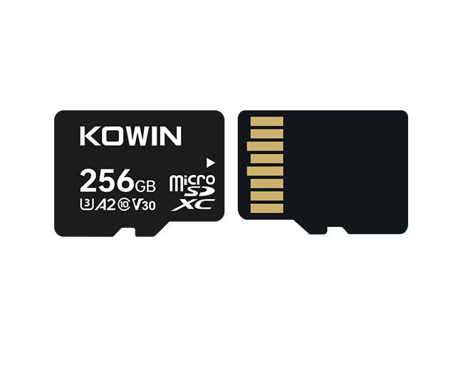 microSD